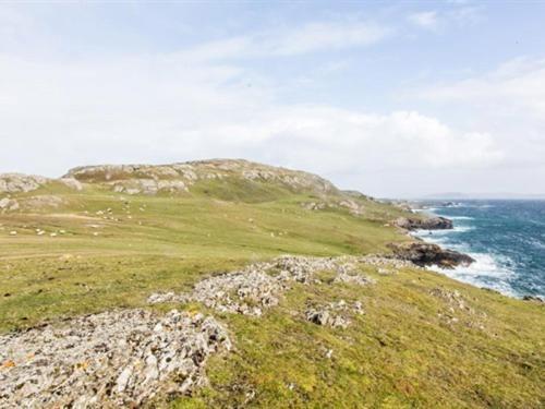 The Beach, Days Bar&B&B Inishbofin Exterior foto